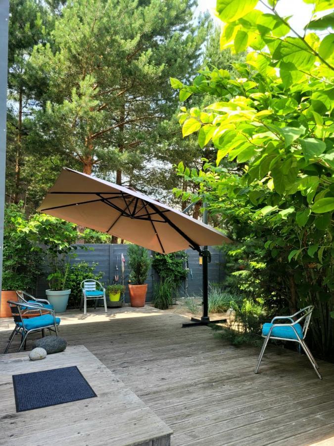 Su Terasa Jaukus Apartamentas, Tik Vienas 帕兰加 外观 照片